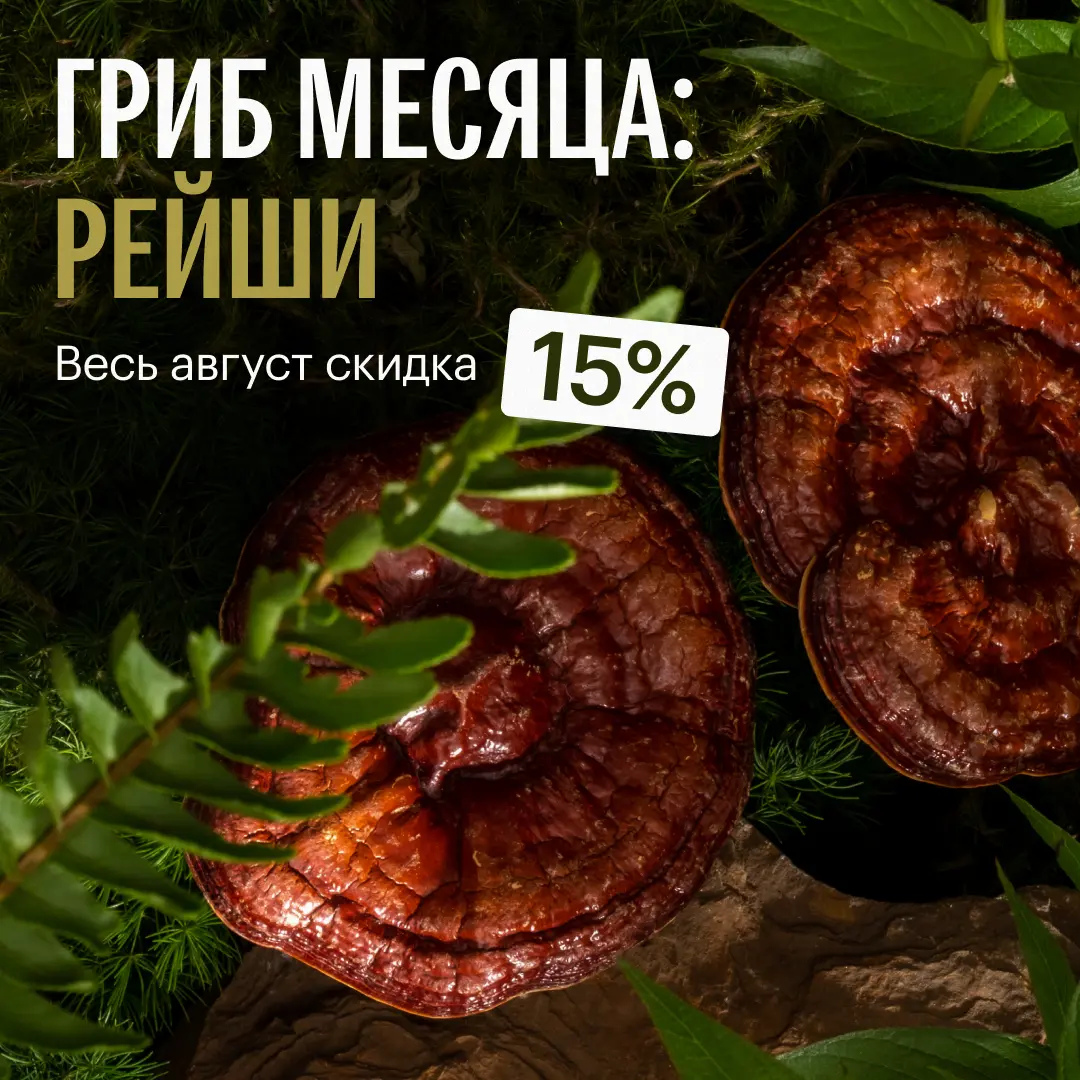 Рейши - гриб месяца Fungiline