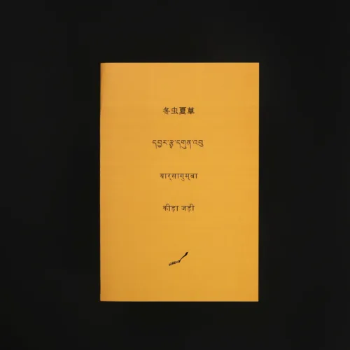 07